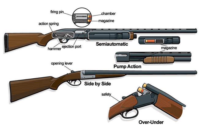 Shotgun Types