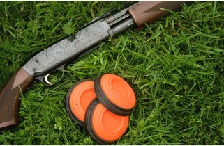 shotgun-and-disks shotgun-and-disks