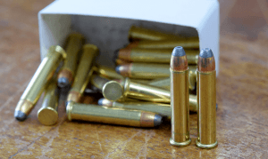 Gun Digest - Extreme Range .22 Ammunition