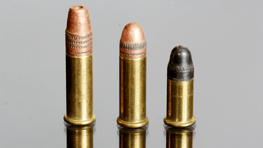 .22 Ammo